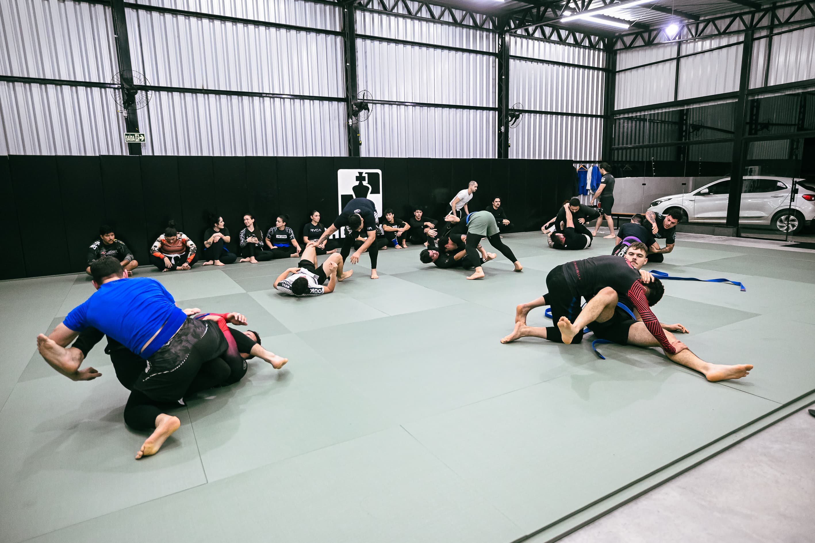 Grappling & No-Gi